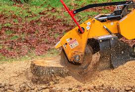 Best Lawn Watering Services  in Marlboro, NY